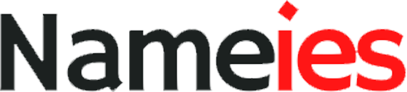 Nameies Website Logo